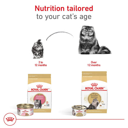 Royal Canin Alimento seco para gatos adultos para gatitos persas de raza felina, 3 libras