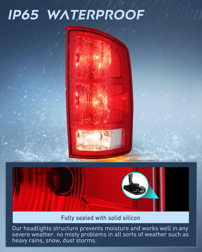 Nilight Luz Trasera del Pasajero para Dodge Ram 1500 2500 3500 2002-2006, Estilo OE, NA818