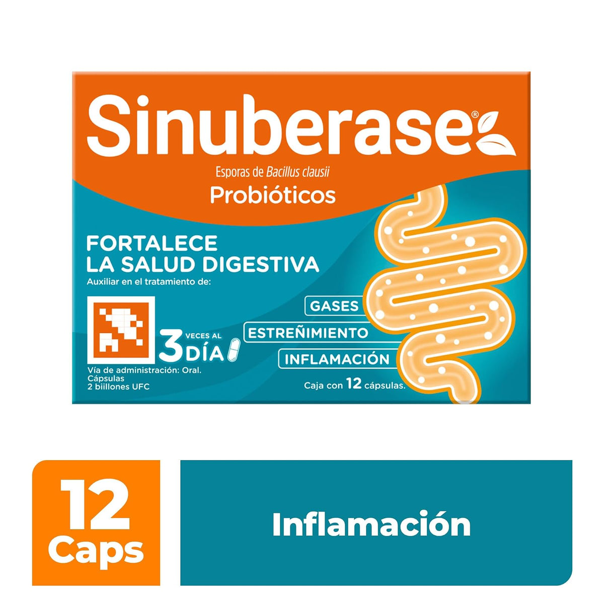 Sinuberase Probióticos 2 billones de UFC 12 Cápsulas. Fortalece la Salud Digestiva. Auxiliar en el Tratamiento de Inflamación, Gases y Estreñimiento. Restaura el Equilibrio de la Flora Intestinal