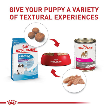 ROYAL CANIN - Alimento seco para Perros (tamaño Gigante), Perro, 13.61 kg
