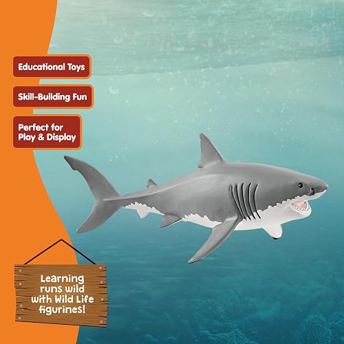 Schleich 14809 Tiburón, Original Color, | Figuras de animales fieles a los detalles, juguete zoológico, gran regalo para niños y niñas, decoración para cumpleaños