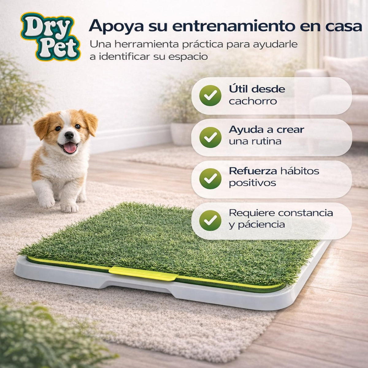 Fancy Pets Dry Pet Doggie Grass Tapete Entrenador para Perro Tamaño Chico