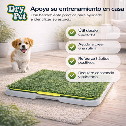 Fancy Pets Dry Pet Doggie Grass Tapete Entrenador para Perro Tamaño Chico
