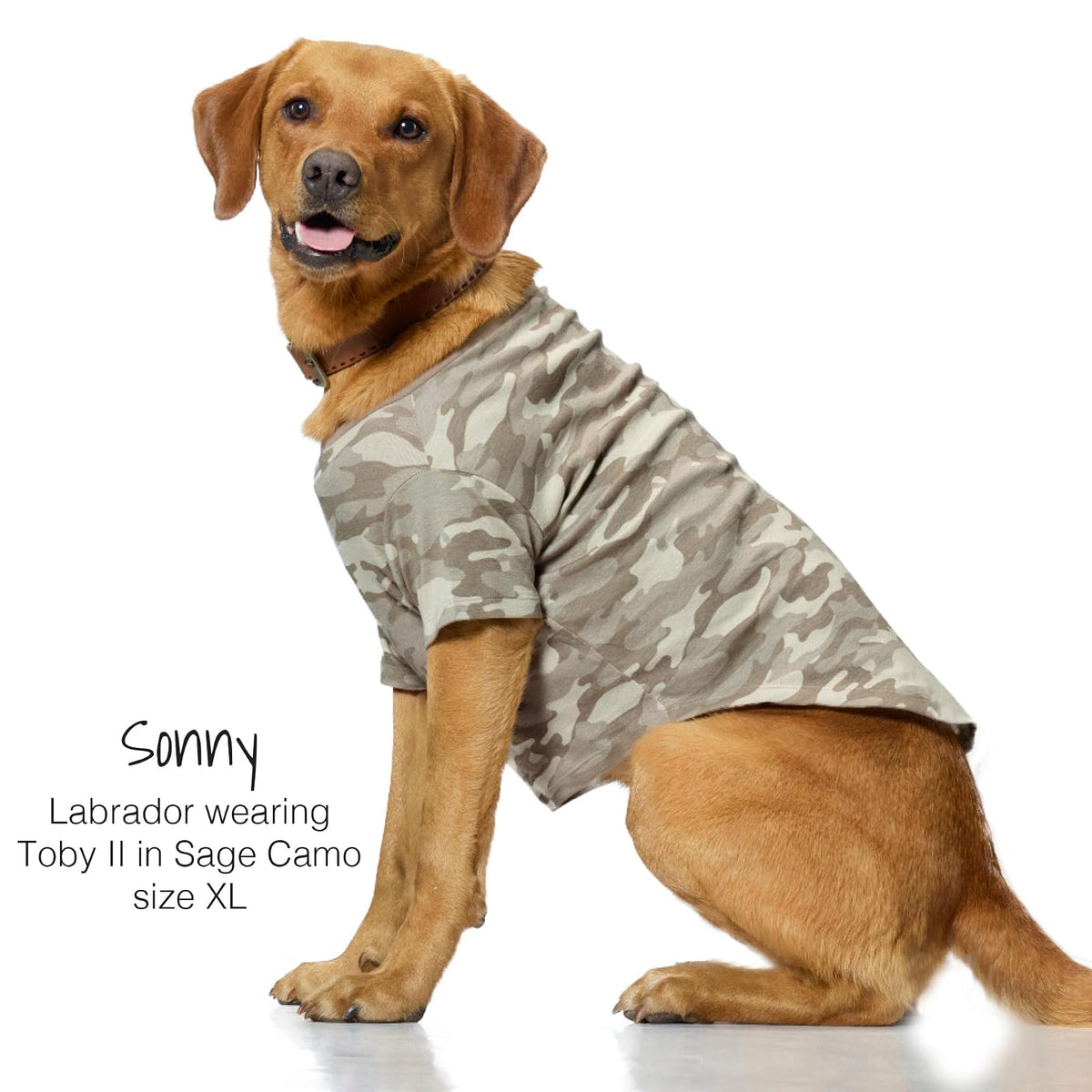 pet passion - Paquete de 3 Camisetas de Manga Corta para Mascotas, 100% algodón orgánico, Ropa para Perros pequeños, medianos, Grandes, Toby II, Camuflaje Salvia, XXL