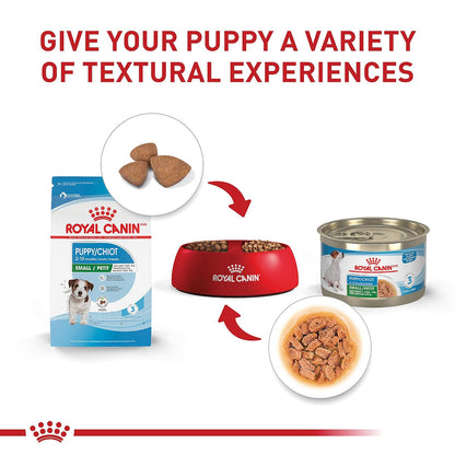 ROYAL CANIN- alimento para Perros Perros Small Puppy de 6.36 kg