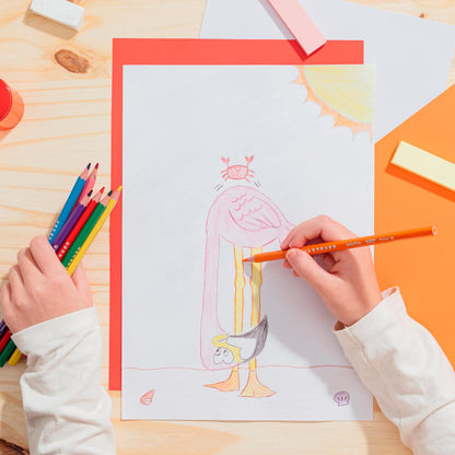 BIC Lápices de Colores Evolution Punta Resistente Sin Astillas Hecho de Resina Surtido de Colores 36 Piezas
