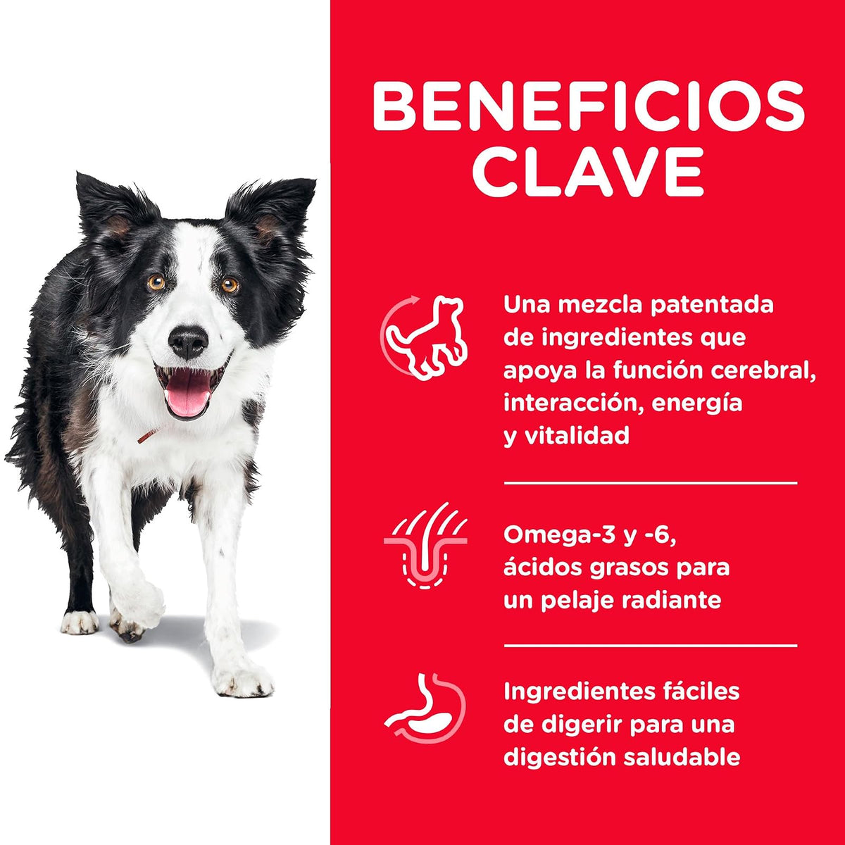 Hill's Science Diet Croquetas para Perro Senior 7+ Sabor Pollo 5.7Kg | Croquetas Hill's para perro, pollo real, vitalidad senior, salud de órganos vitales, energía diaria