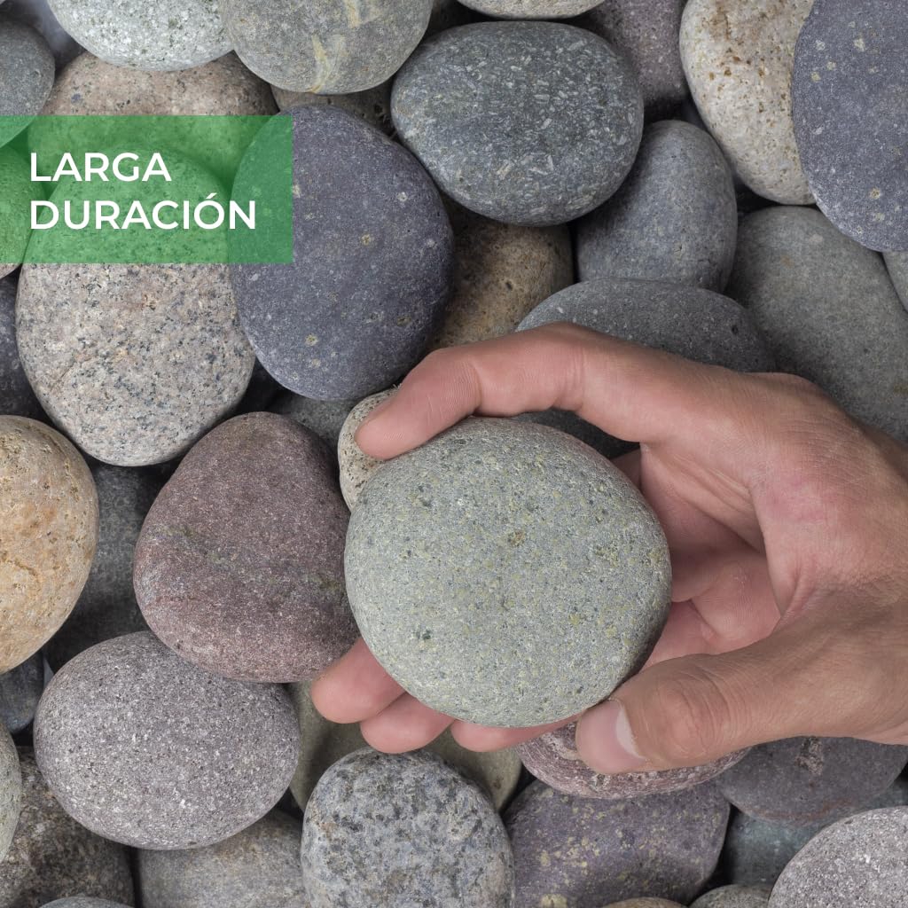 PISUMMA Piedra de Playa Gris 1" a 2" - Presentación 7 kg - Piedra Decorativa Natural para Jardín, Macetas, Peceras y Paisajismo