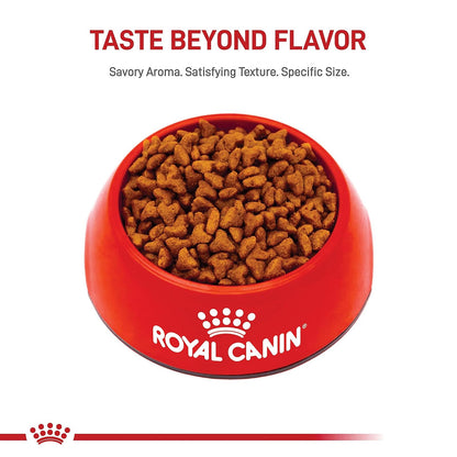 ROYAL CANIN, Puppy - Pug, Croquetas para Perro, 1.1kg