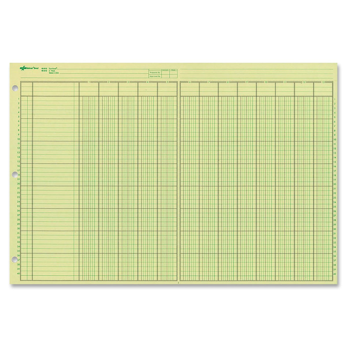 Nacional análisis Pad, 13 columnas, papel de color verde, 11 x 16.375", 50 hojas (45613)