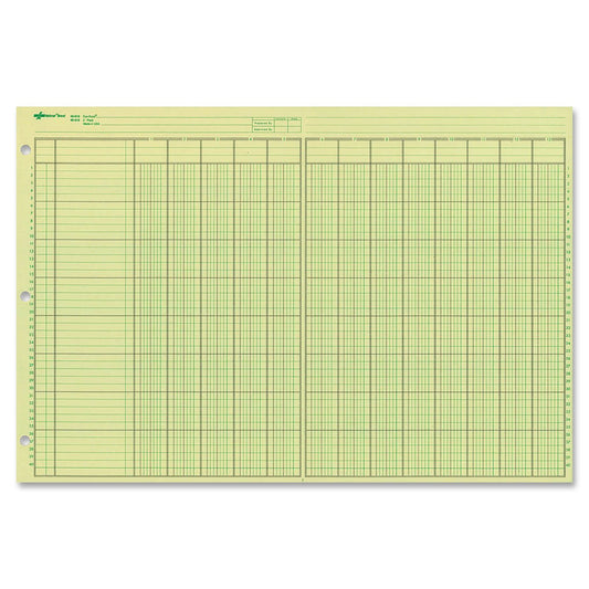 Nacional análisis Pad, 13 columnas, papel de color verde, 11 x 16.375", 50 hojas (45613)