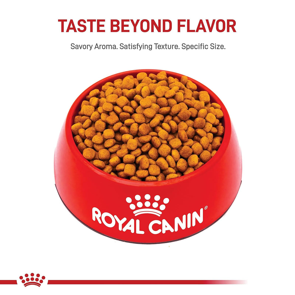 Royal CANIN 454330, Comida Para Mascotas, Seca Standard, 13.6 Kg Paquete De 1