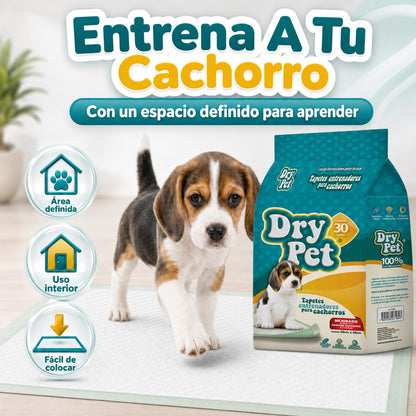 Dry Pet Tapete Entrenador para Perro de 30 Piezas