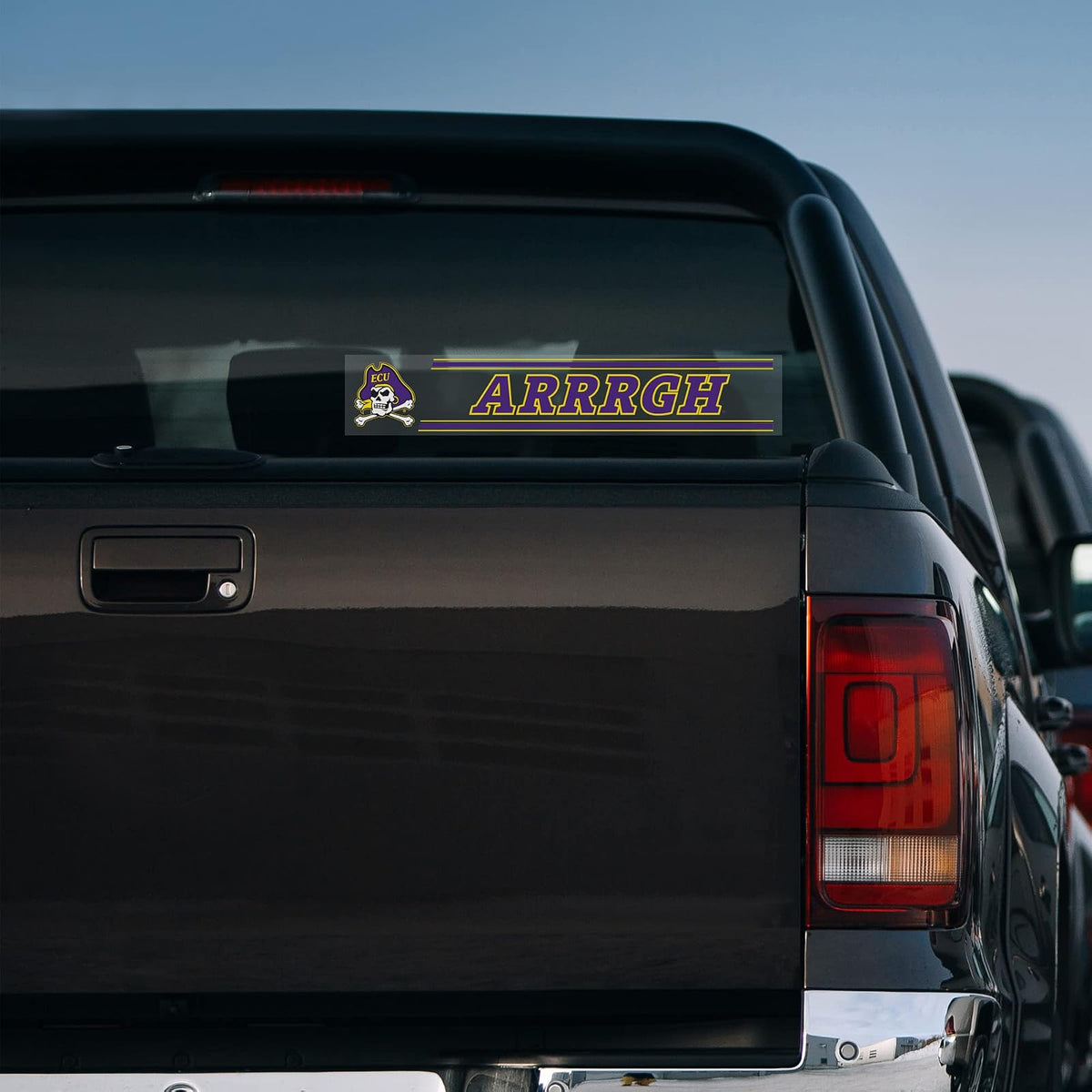 Rico Industries NFL - Pegatina para portón Trasero, 7,62 x 43,18 cm