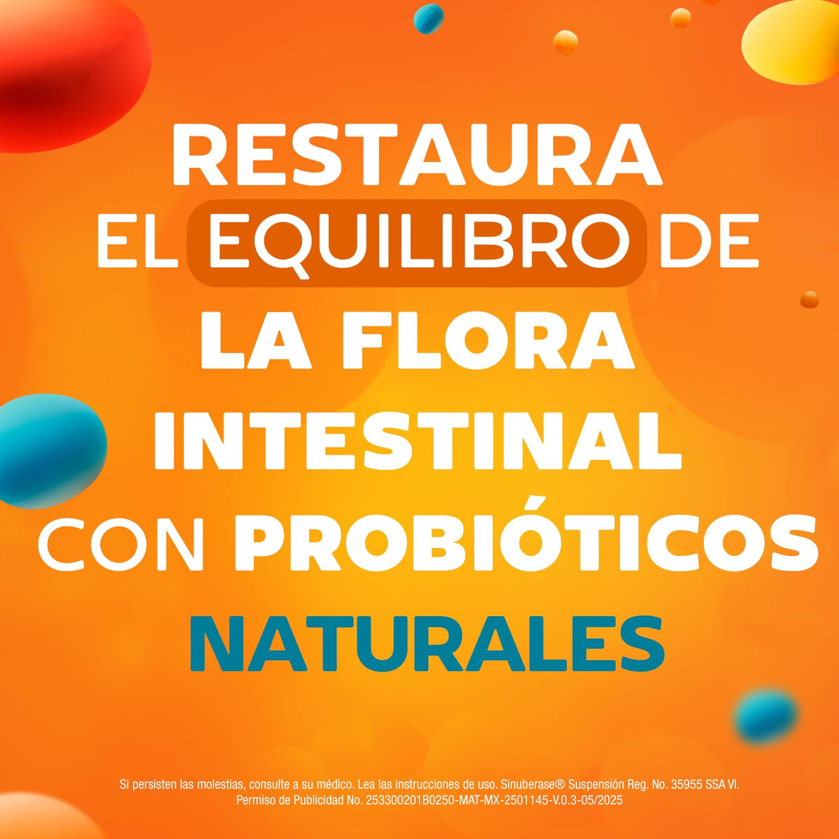 Sinuberase Probióticos 2 billones de UFC 12 Cápsulas. Fortalece la Salud Digestiva. Auxiliar en el Tratamiento de Inflamación, Gases y Estreñimiento. Restaura el Equilibrio de la Flora Intestinal