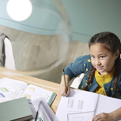 Philips LED EcoHome Paquete de 8 Focos 10W Luz Fría, Ahorro de Energía, Iluminación Potente para el Hogar, Encendido Instantáneo, Larga Duración, Uso Diario en Diferentes Espacios
