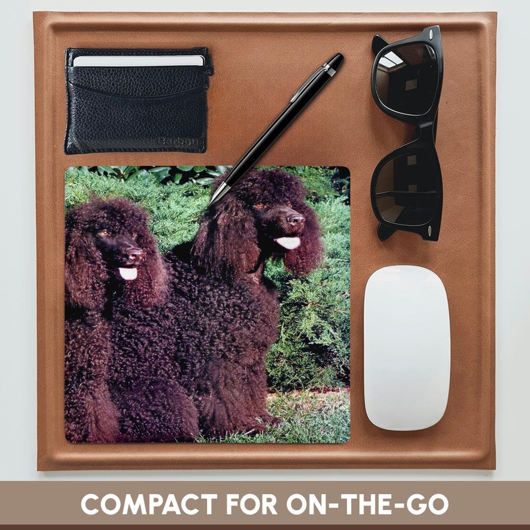 3dRose 8 x 8 x 0.25 Inches Irish Water Spaniel Mouse Pad (mp_991_1)