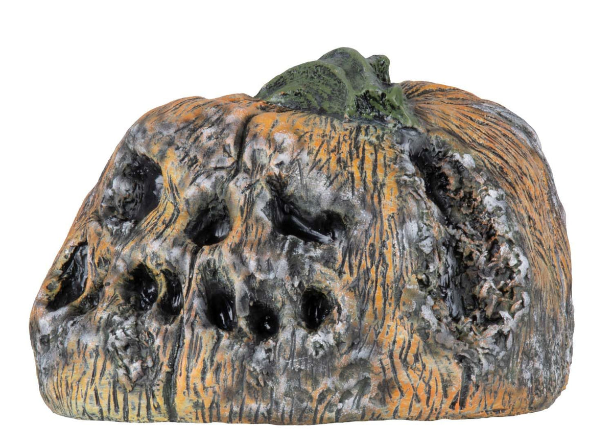 Ghoulish Productions Decoración De Látex Rotten Pumkin 6, Decoración De Calabazas Halloween, Calabazas Podridas Halloween, Ideal Para Usar En Fiestas De Halloween, Casa