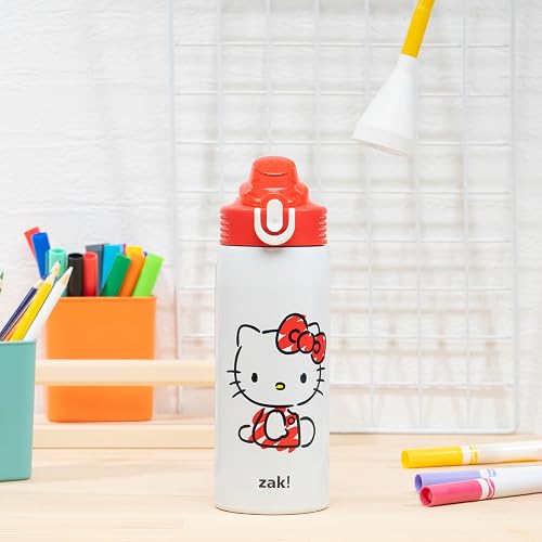 Zak Designs Sanrio Sage - Botella de agua para niños para escuela o viajes, botella de agua de acero inoxidable de 19 onzas con popote, mango y a prueba de fugas, cubierta de boquilla desplegable