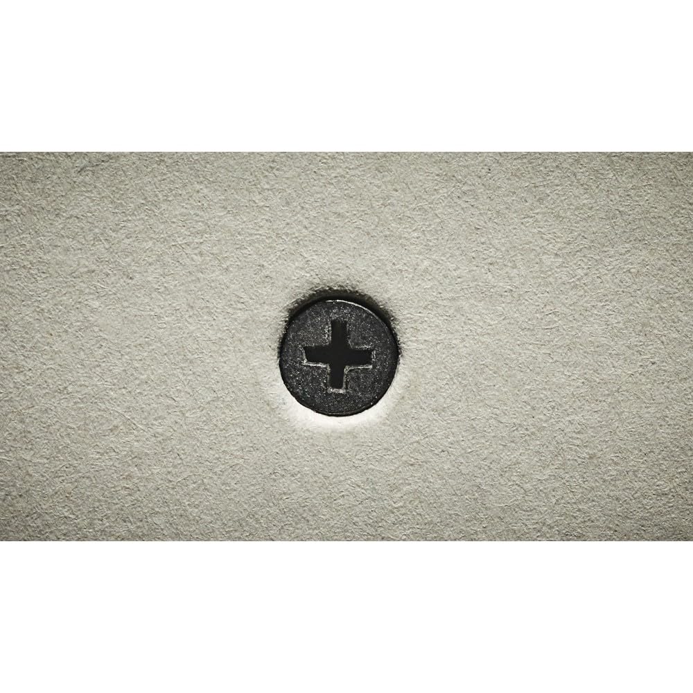 Bosch D60498 Fijador de Pernos en Tabiquería, número 2 Philips | Control de profundidad de parada automática, reversible mientras se tira, punta magnética Phillips P2