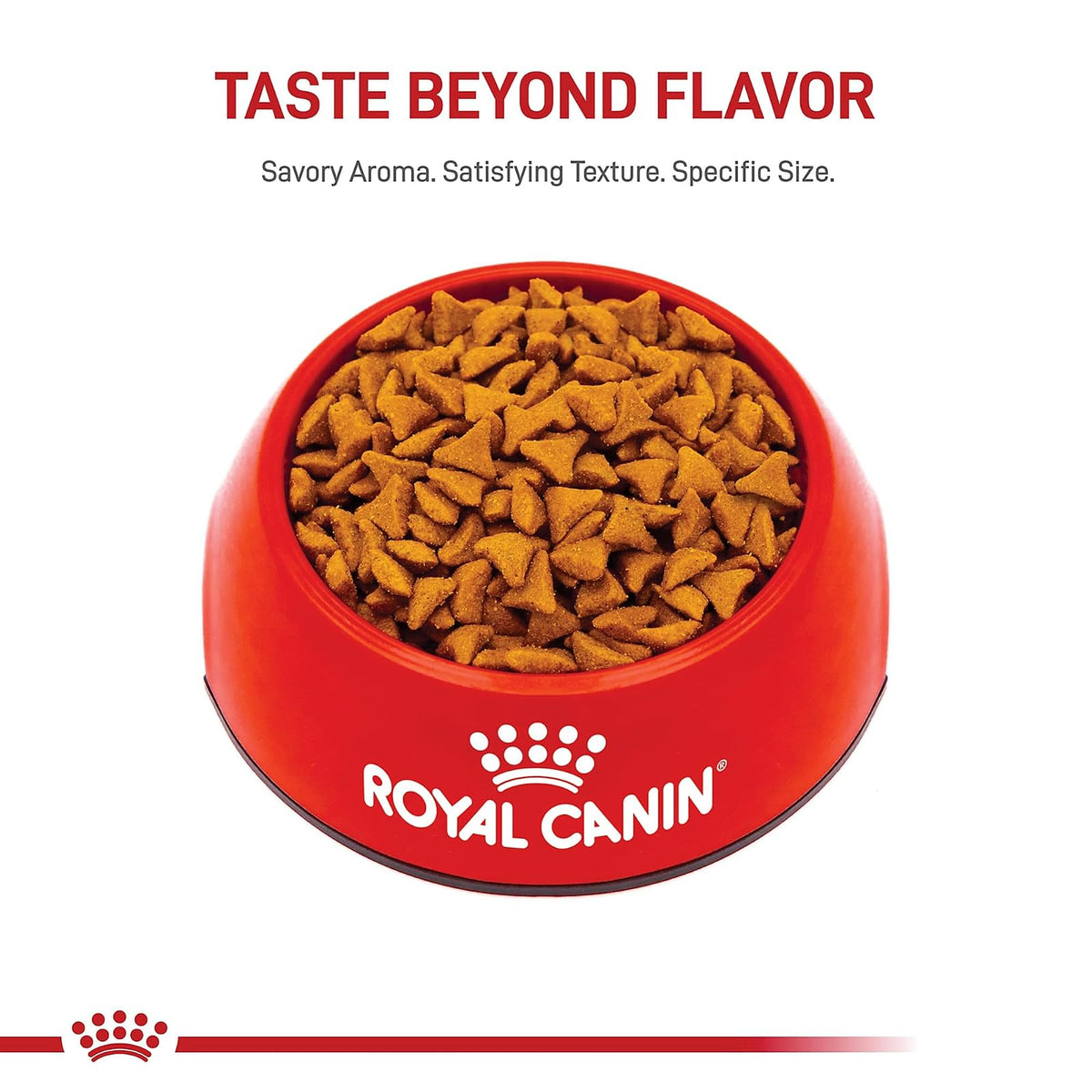 ROYAL CANIN Alimento Seco para Gato Adulto Control Bolas de Pelo, 2.7 kg