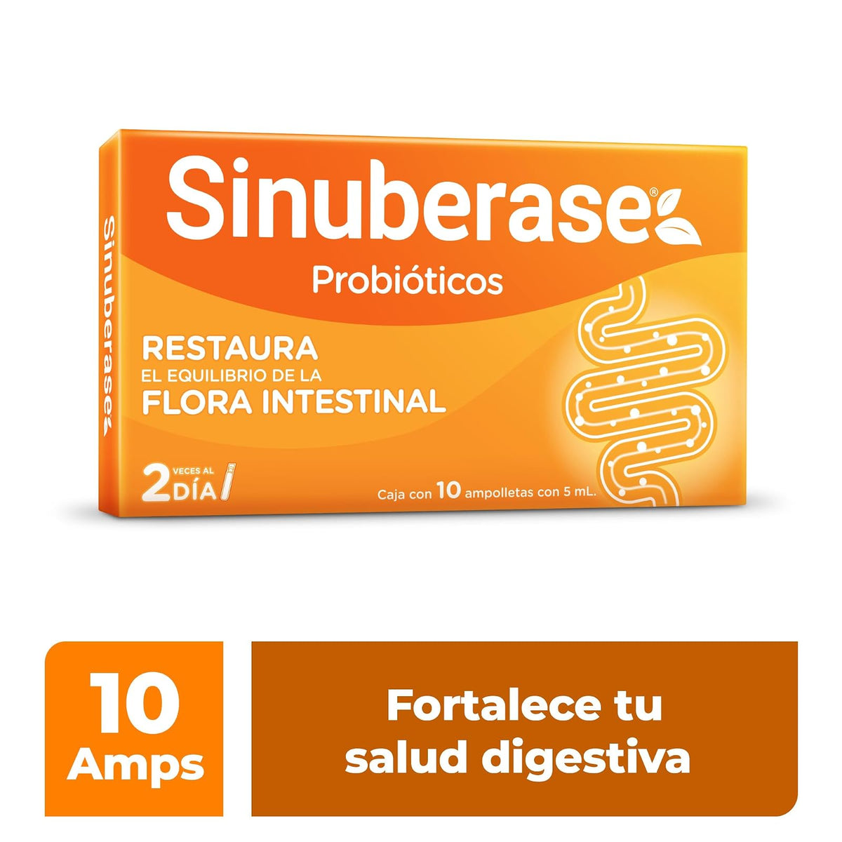 Sinuberase Probióticos en Suspensión 2 Billones de UFC 10 Ampolletas. Restaura el Equilibrio de la Flora Intestinal Alterado por Diarrea o Uso de Antiobióticos