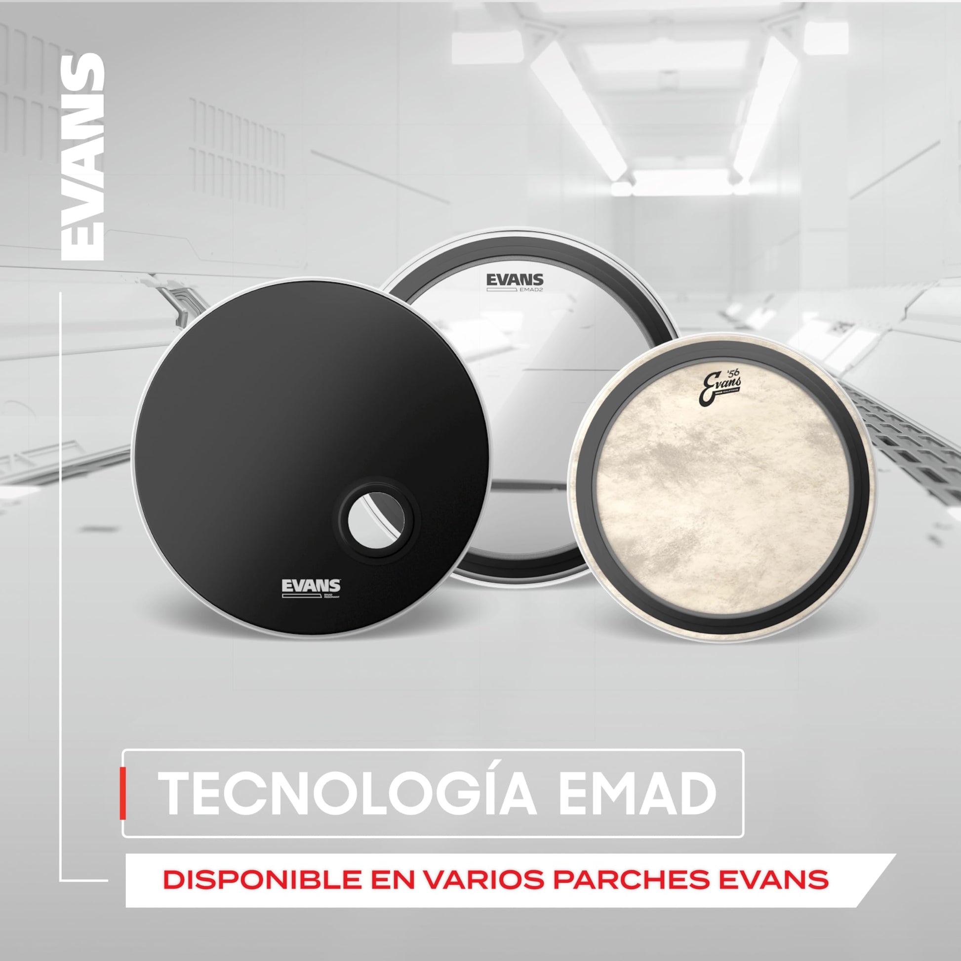 Evans BD22EMAD2 Parche 22"