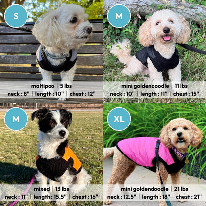 Gooby Chaleco de moda para perro, verde, pequeño, cálido chaleco con cremallera y correa de doble anillo en D, suéter para perro pequeño resistente al agua de invierno, ropa para perros pequeños, niños o perros medianos