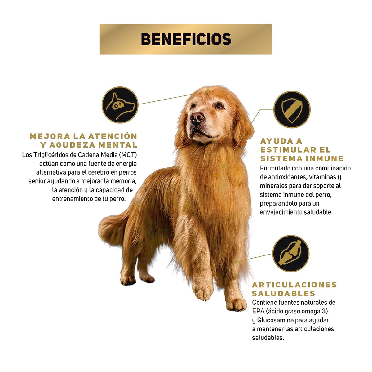 Purina Pro Plan Active Mind Adulto Razas Medianas y Grandes Sabor Pollo 9.5 Kg