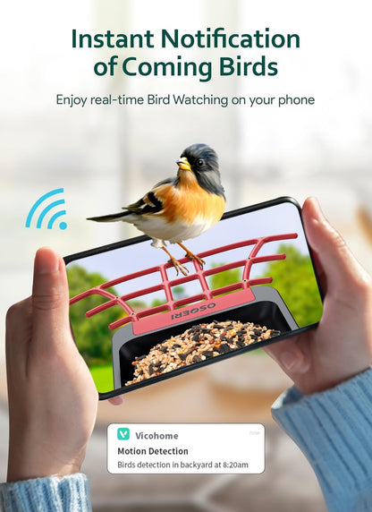 Osoeri Comedero para Pájaros con Cámara, Inteligente con IA, Identifica Aves, 1080P, Captura Vídeos Automática, Detección de Movimiento, Accesorios DIY, Regalo (Rojo Negro)