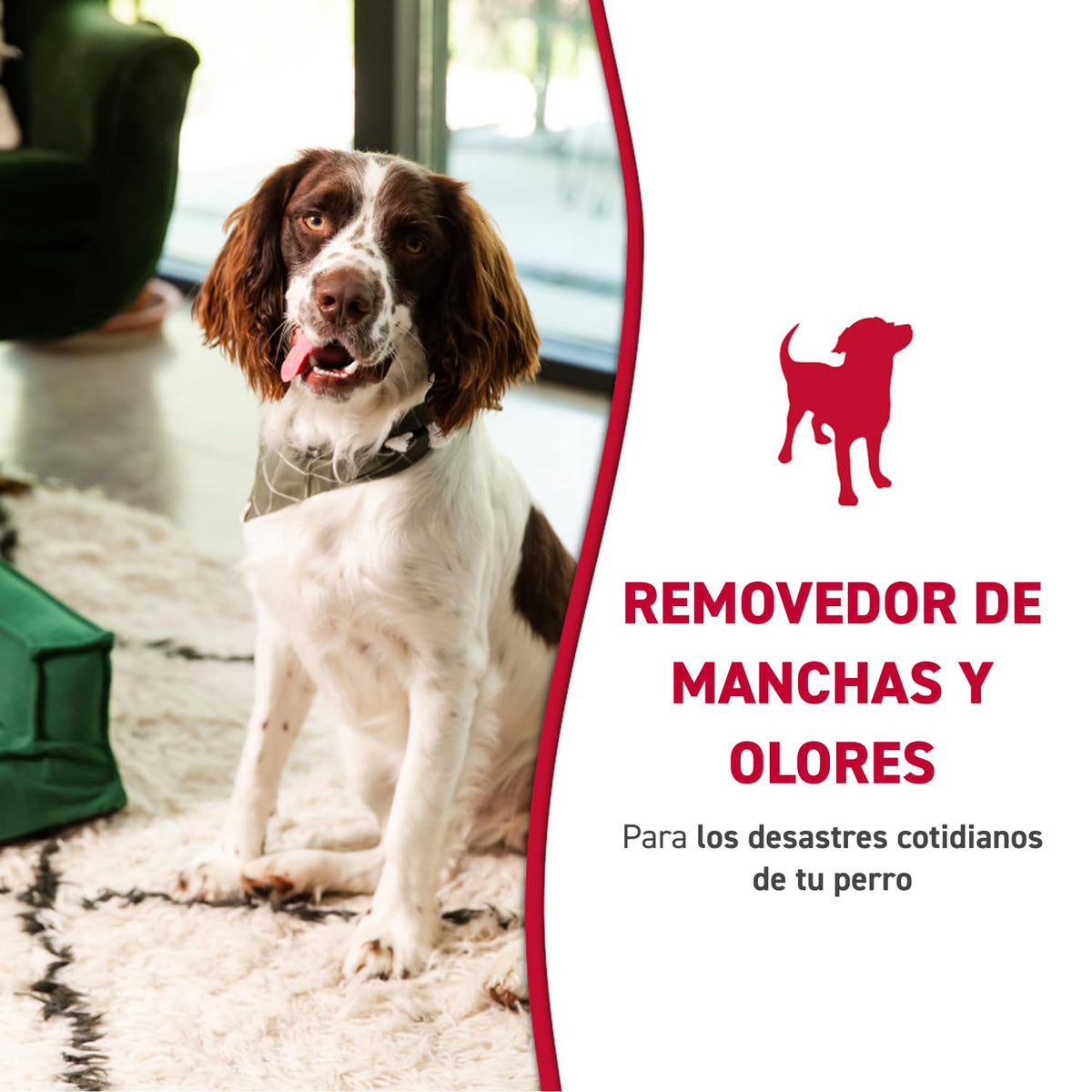 Nature's Miracle - Removedor de manchas y olores para perros, spray enzimático - 946ml - Para orina y otros desechos en alfombras, pisos, muebles y más