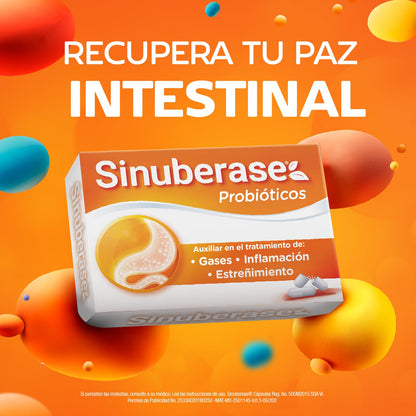 Sinuberase Probióticos 2 billones de UFC 12 Cápsulas. Fortalece la Salud Digestiva. Auxiliar en el Tratamiento de Inflamación, Gases y Estreñimiento. Restaura el Equilibrio de la Flora Intestinal