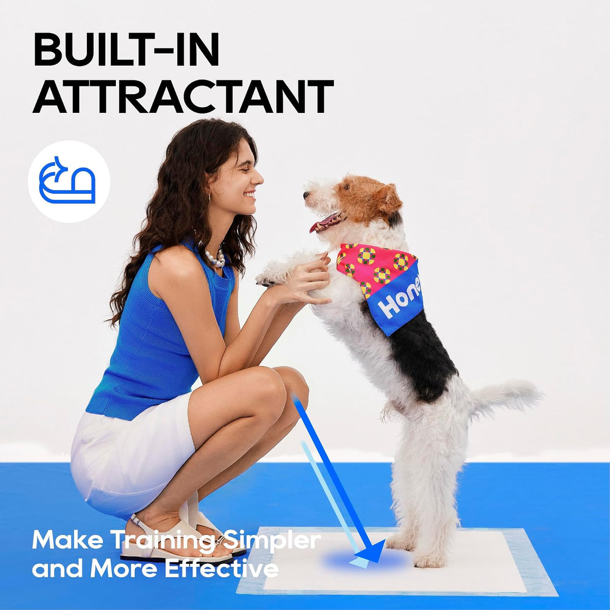 All-Absorb - Esterillas de formación para Perros, 120 Unidades, 45 x 60 cm, Color Blanco y Azul