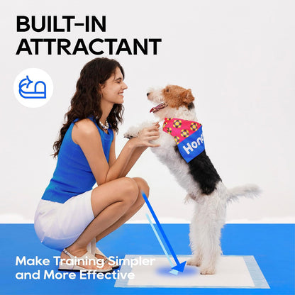 All-Absorb - Esterillas de formación para Perros, 120 Unidades, 45 x 60 cm, Color Blanco y Azul