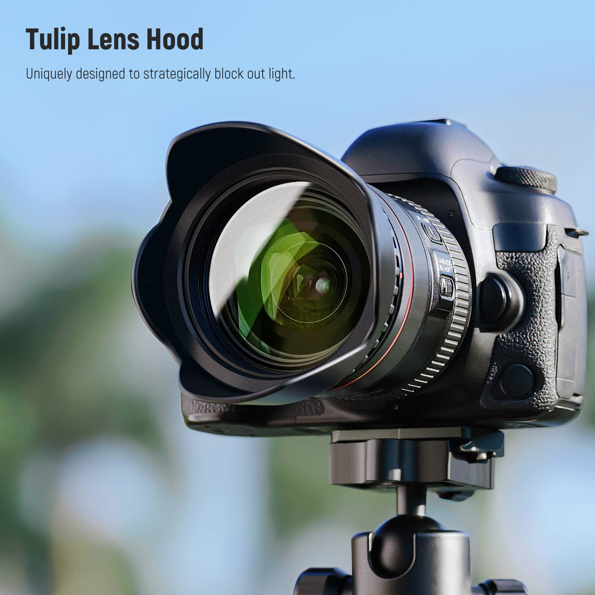 NEEWER 58mm ND Kit de Filtros con Parasol & Lente Tapa | UV, CPL, FLD, ND2, ND4, ND8, para Canon Nikon Sony Panasonic DSLR Cameras con 58mm Lente