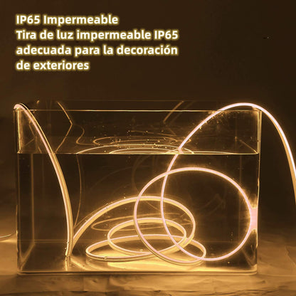 DOSYU Tira Neón Flex LED, 12V 16.4ft/5m Impermeable Flexible Cortable DIY 2835 Luces Led IP65 Decorativa para TV, Cuarto,Halloween, Fiesta de Navidad, con Adaptador(Blanco cálido)