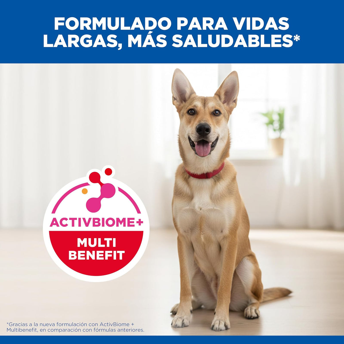 Hill's Science Diet Croquetas para Perro Adulto Sabor Pollo 15Kg | Croquetas Hill's para perro, pollo real, digestión saludable, sistema inmunológico fuerte, omega-6 y vitamina E