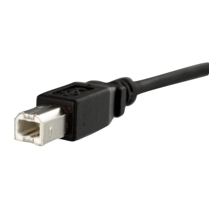 StarTech USBPNLBFBM1 Cable USB de Montaje en Panel USB B a USB B de 30 cm, Hembra a Macho, 30 cm