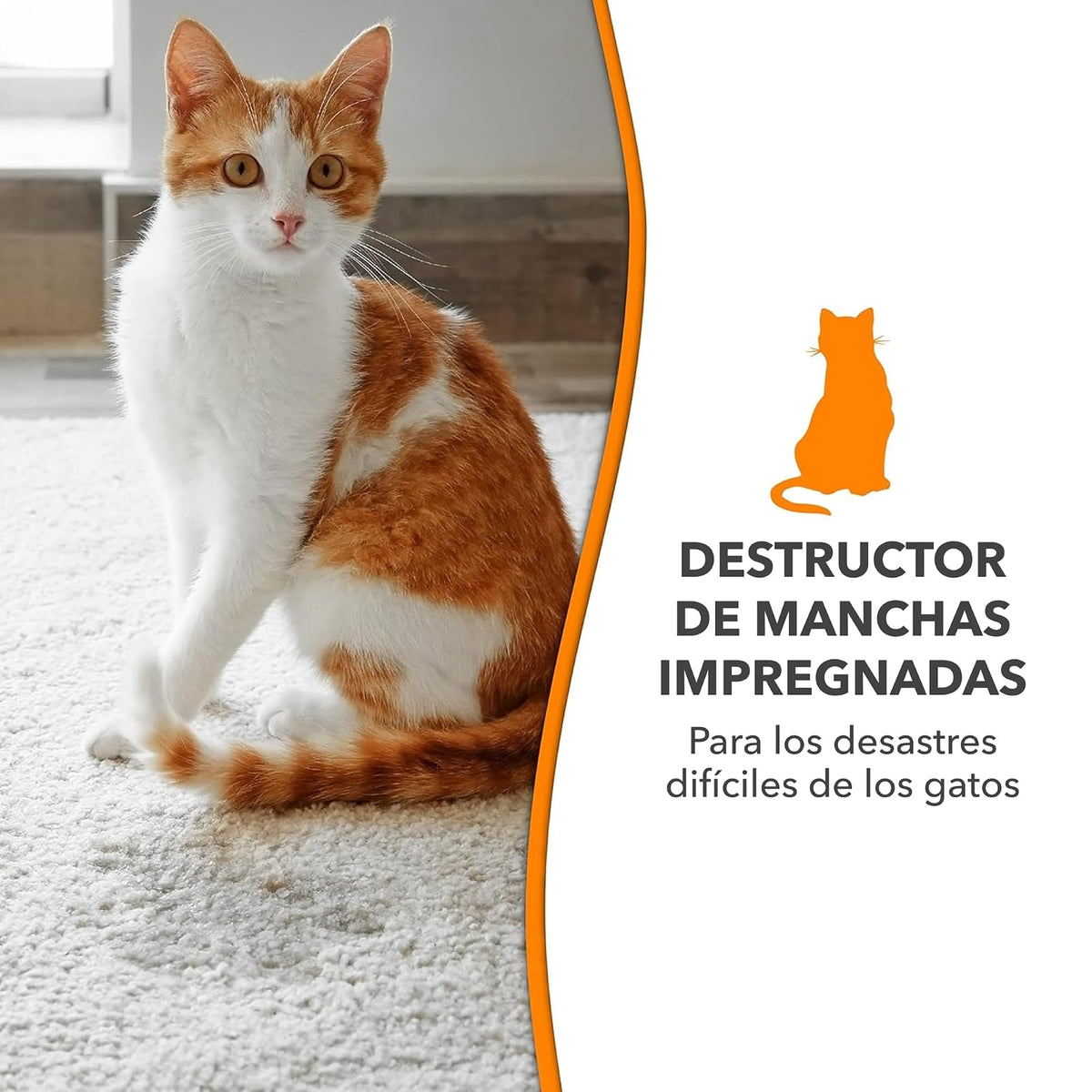 Nature's Miracle Destructor Oxy manchas y olores difíciles para gato 3.78 L