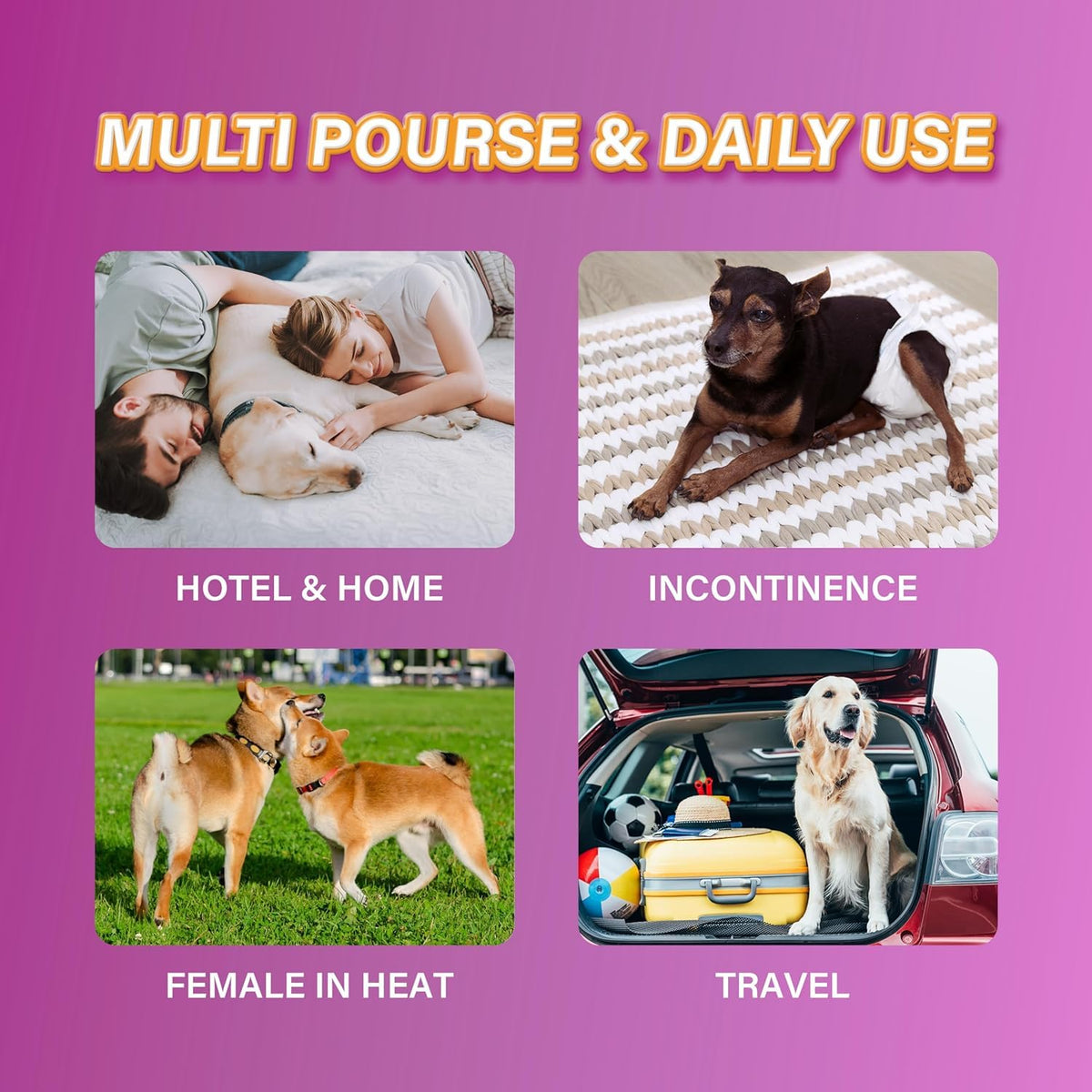 All-Absorb Pañales Desechables para Perro, tamaño Grande