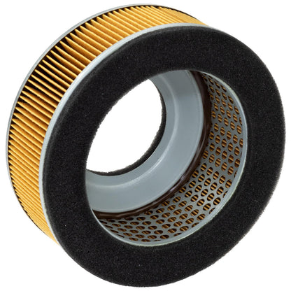 Hiflofiltro HFA2911 Filtro de Aire Premium OE de Repuesto Negro Único
