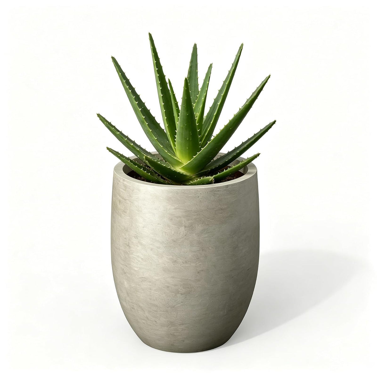Kante Maceta de hormigón de 11.8 Pulgadas de Alto, Maceta Grande para Interiores y Exteriores con Drenaje, Acabado de hormigón Desgastado Suave con Interior Pintado, Ideal para Porche, hogar, jardín