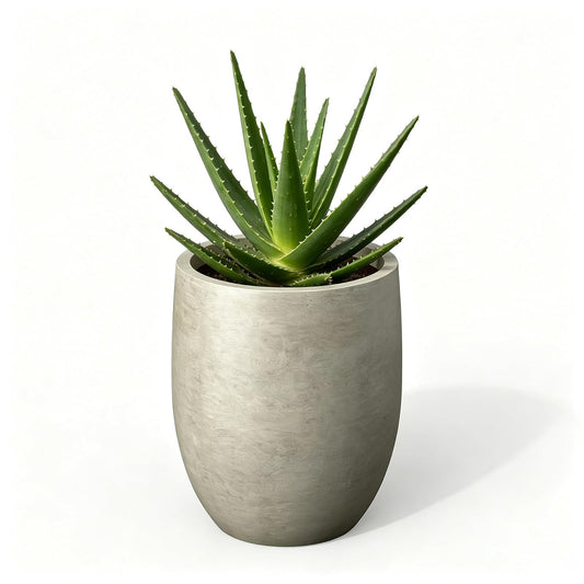 Kante Maceta de hormigón de 11.8 Pulgadas de Alto, Maceta Grande para Interiores y Exteriores con Drenaje, Acabado de hormigón Desgastado Suave con Interior Pintado, Ideal para Porche, hogar, jardín