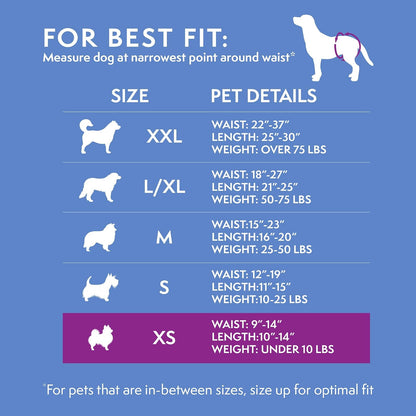 Solución Simple Nuevo Ajuste Verdadero Perro pañales para Perros Hembra ~ Super Absorbente con indicador de Humedad ~ 12 o 30 pañales Desechables para Perro por Paquete, 12 Unidades, XS