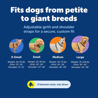 PetSafe Arnés para perro 3 en 1, solución sin tirones, arnés reflectante, clip frontal de anillo en D, correas acolchadas, mango superior, color negro, grande