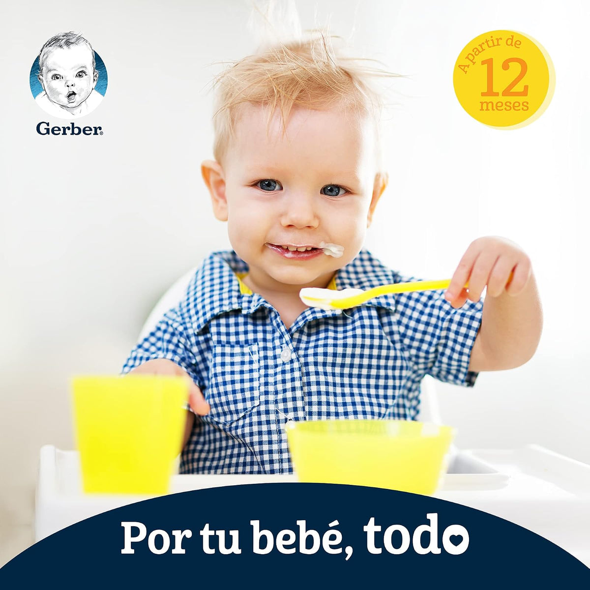 Gerber Papilla Etapa 4, A Partir de 12 Meses, Pollo, Verduras y Papas, Pack 12 Frascos de 250 g c/u