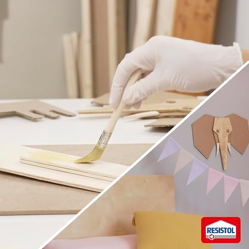 Resistol 5000, pegamento para armado, bricolaje, laminado, enchapado y ensamble, adhesivo de fuerte agarre para madera, fieltro, cuero, metal y otros materiales, 1x1lt