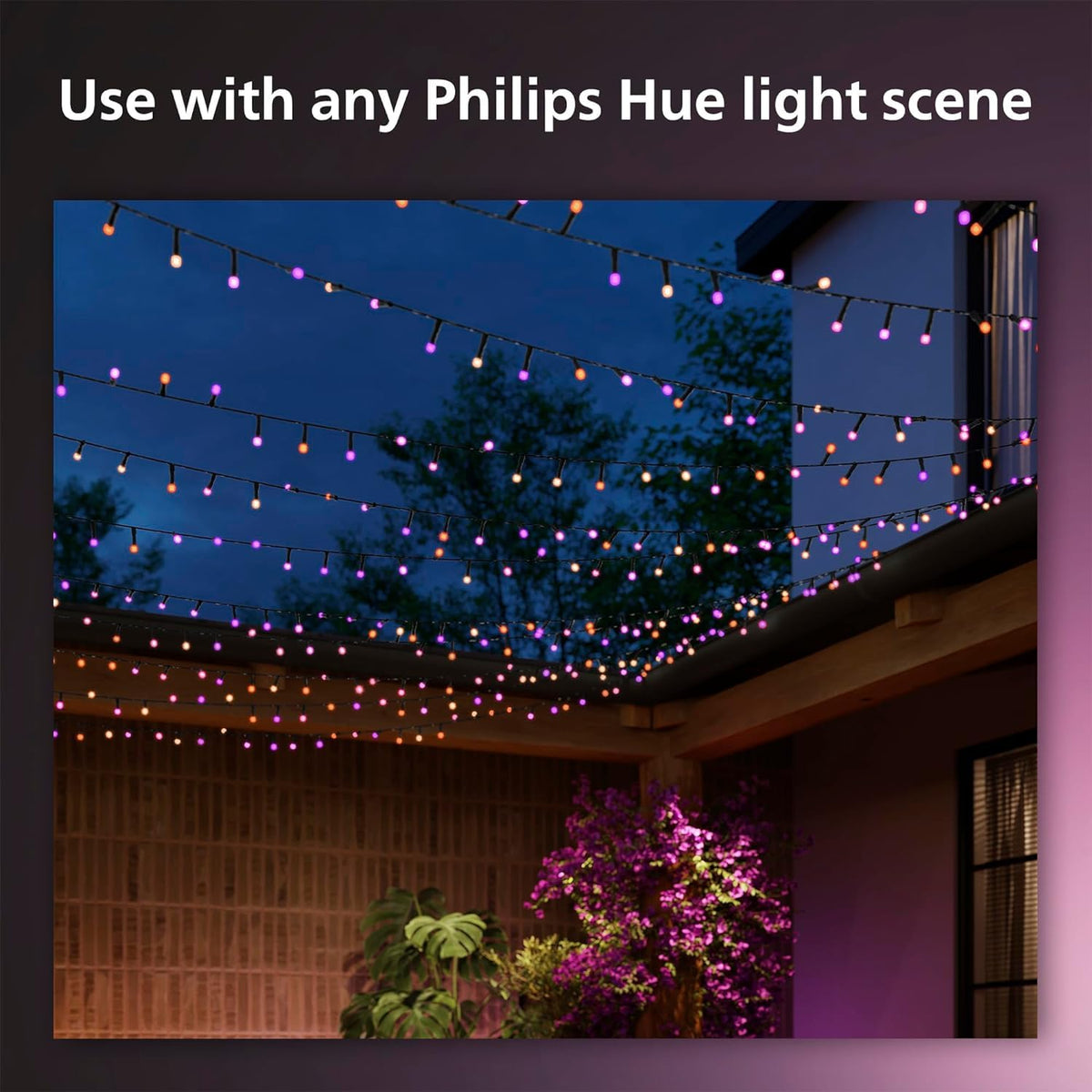 Philips Hue Guirnalda de luces Festavia 250 LEDs multicolor