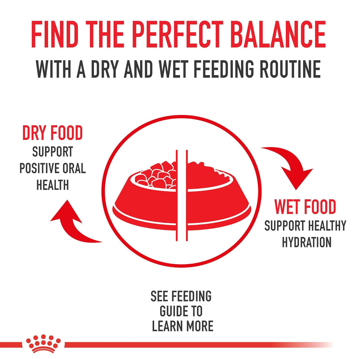 Royal CANIN - Alimento seco para perros adultos SIZE HEALTH NUTRITION MEDIUM, 17 libras