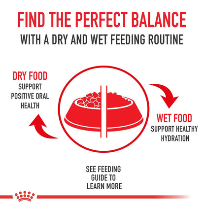 Royal CANIN - Alimento seco para perros adultos SIZE HEALTH NUTRITION MEDIUM, 17 libras